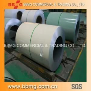 Prime Prepainted Galvanzied Steel Coil PPGI