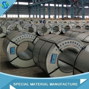 Hot Sale! Sece-P Galvanized Steel Coil / Belt / Strip Prices