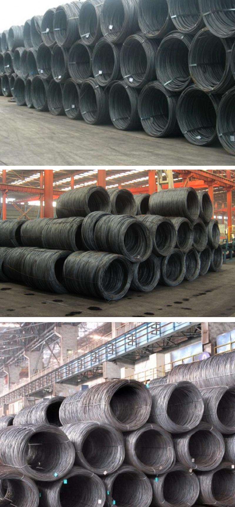 Factory Price Spoke Steel Wire for Bicycle