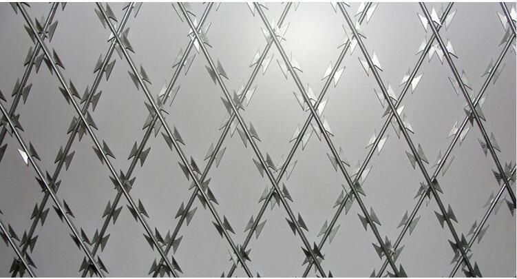 China Factory Price Galvanized Steel High Strength Security Razor Barbed Wire