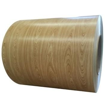 Prepainted / Color Galvanized Steel Coil for Roofing Sheet