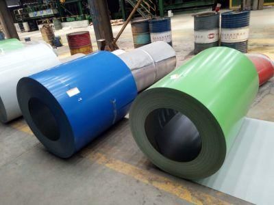 Hot Rolled/Cold Rolled/Galvanized (zkj)