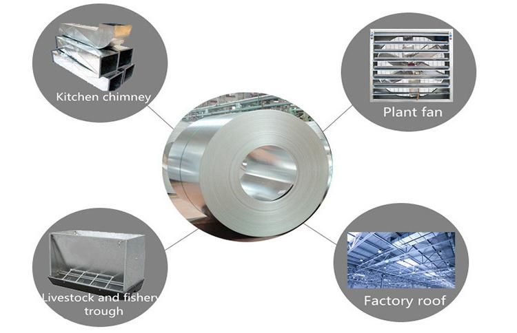 Hot Dipped Galvanized Steel Coil