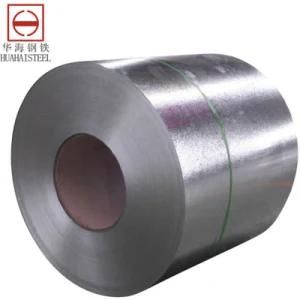 Galvanized Steel Coil SGCC/Sgch