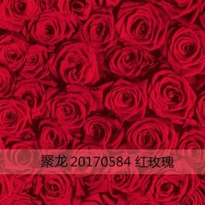 PPGI/PPGL Steel Coils for Interior Decoration
