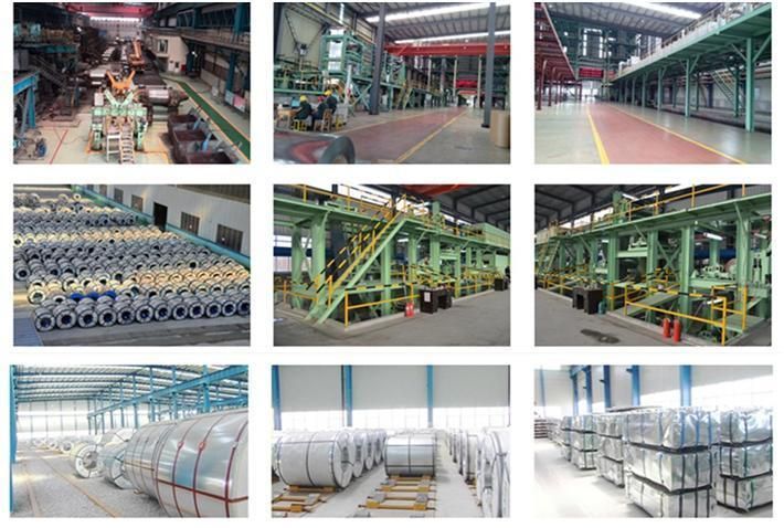 China Steel Factory Hot Dipped/Cold Rolled Galvanized Steel Coil Galvanised Sheet SGCC Gi Coil Price