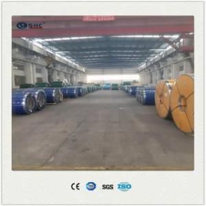 304 Stainless Steel Coil Exporters