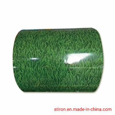 China Hot Sale Color Coated Roofing Sheet PPGI Coil with High Quality Factory Product