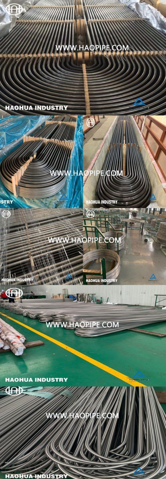 ASTM A269 ASTM A213 ASTM A270 316 U Bend Seamless Stainless Steel Tube Coil Tubing U Tube