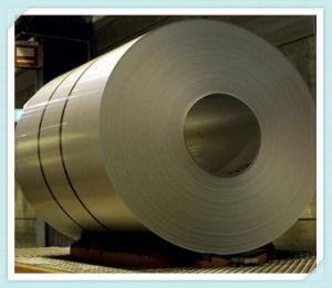 304 Coil Special Vacuum Belt