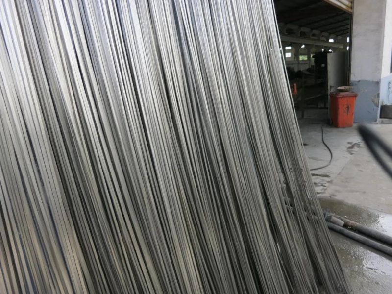 Stainless Steel Small Flat Strip