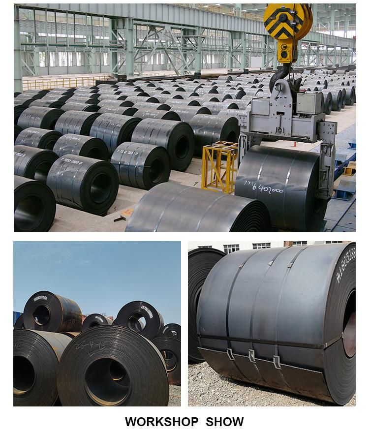 Cold/Hot Rolled Carbon Steel Ms Plate/Coil/Sheet Dx51d Dx52D Dx53D Mild Steel Plate Marine Grade Steel Coil for Building Material and Costruction