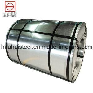 Competitive Price Galvanized Steel Product for Steel Pipe
