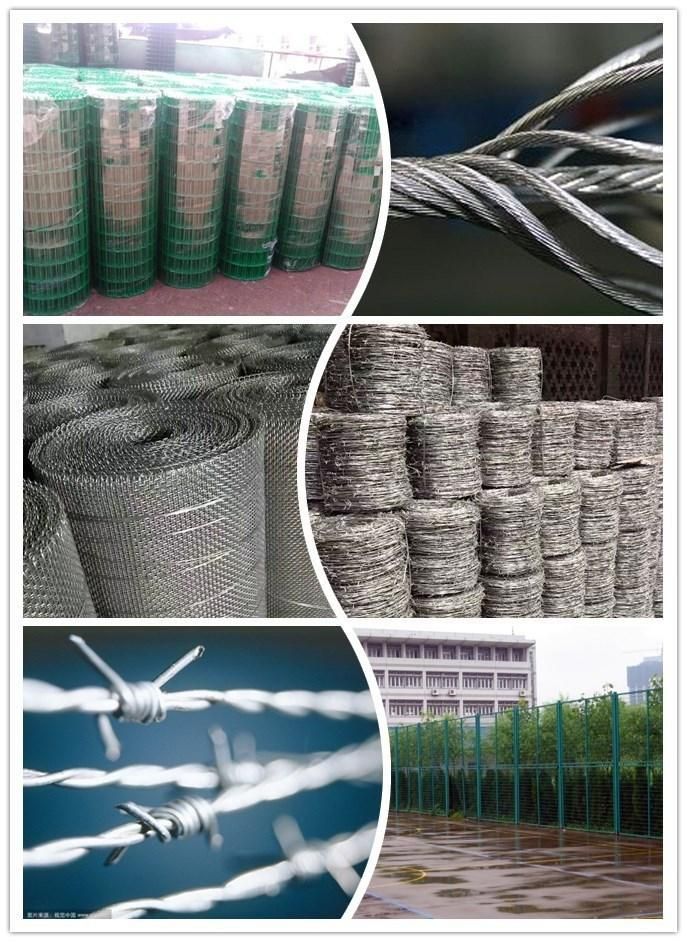 Electrical Galvanized and Hot DIP Galvanized Steel Wire for Face Mask