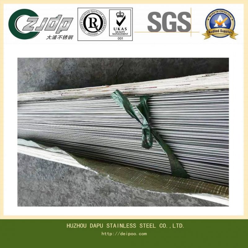 Mini Stainless Steel Pipe/Steel Tube