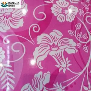 Hot Sales Beautiful Pattern Designed PPGI