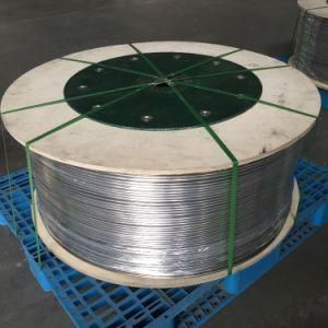 Tp316L Control Line 6.35mm Diameter, 1.24mm Thickness