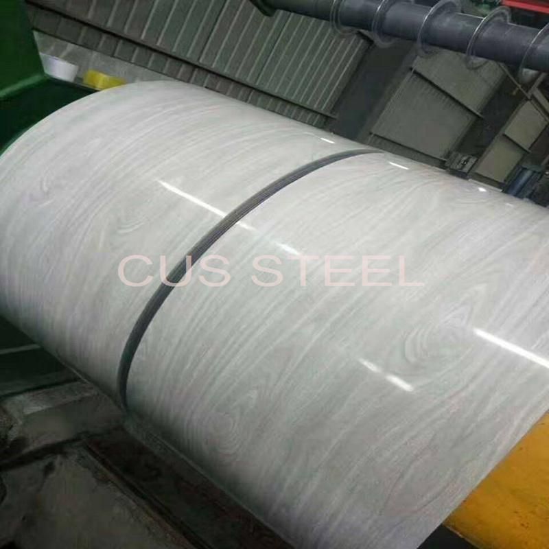 Ral9003 Galvanized Steel Sheet/Prepainted Zinc Coating Steel Coil