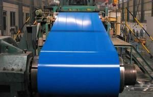 Steel Sheet &amp; Plate /Color Coated Steel Coil