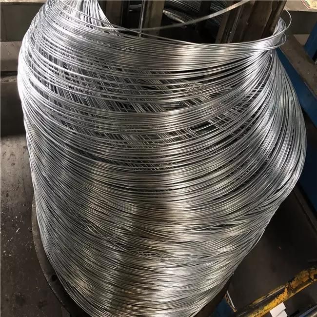 Raw Material of Nail Making 5.5mm 6.5mm 8mm 10mm SAE1006 SAE1008 Steel Wire Rod Iron Coil Price