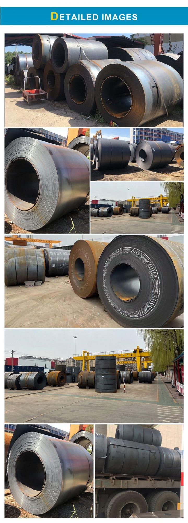 Carbon Steel Hot Rolled A36 Building Materials Mild Steel Coils