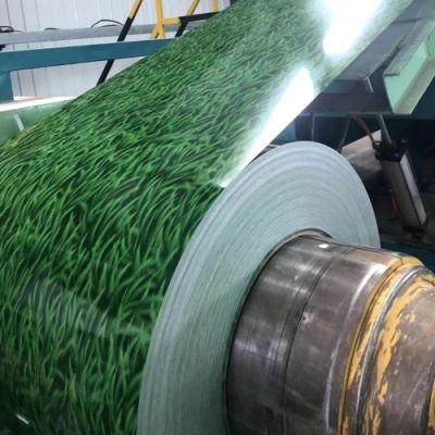 Precoated Galvanized Steel Sheets PPGI Hot Dipped Galvanized Steel Coil Sheet Plate