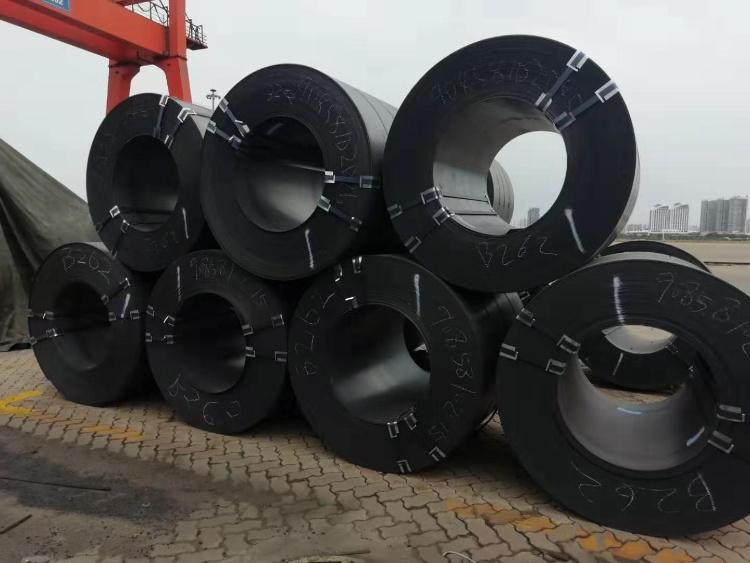 Prime Hot Rolled Steel Sheet in Coil Q195 Hr for Hot Rolled Steel Pipe