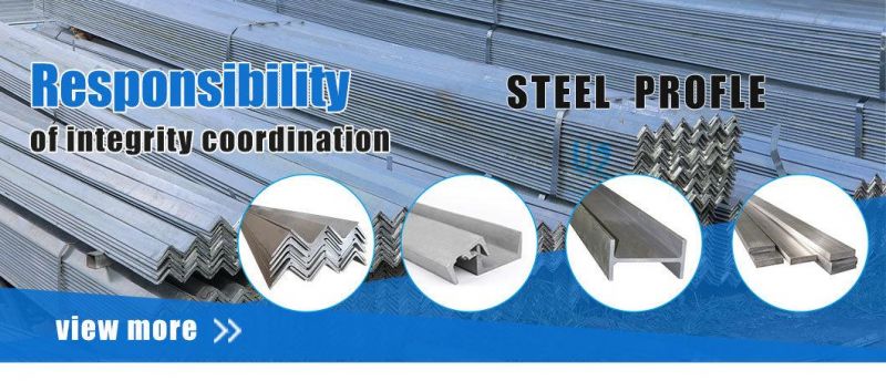Factory Hot Rolling Galvanized Angle Bar Profile