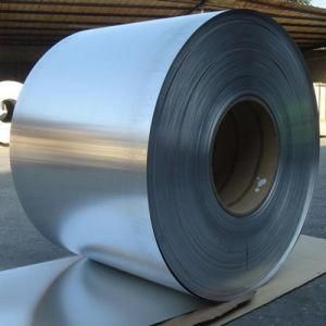 Professional Manufacturer Stainless Steel Coil (GB 309S Grade)