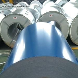 Structural Steel ASTM A653, JIS G3302, GB 2518 Sheet Metals, Dx56D+Z. Dx52D+Z, Dx53D+Z, DC04, DC06, Sgcd, Sgce, Dx54D+Z, DC03, DC01,