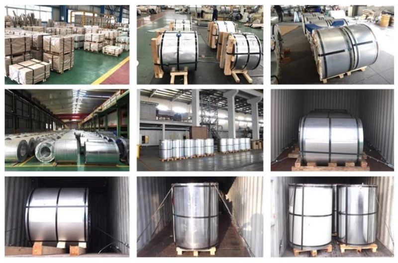 Dx51d Z40 PPGI PPGL Steel Coil