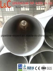 SUS304 Stainless Steel Welded and Seamless Tube/Pipe