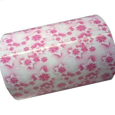 Decent Quality Professional Manufacturer Colored Galvanized Steel Roll Colour Coated Steel