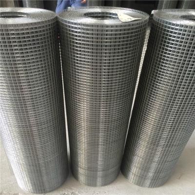 Food Grade AISI SUS 304 316 316L Stainless Steel Filter Wire Mesh Screen in Stock