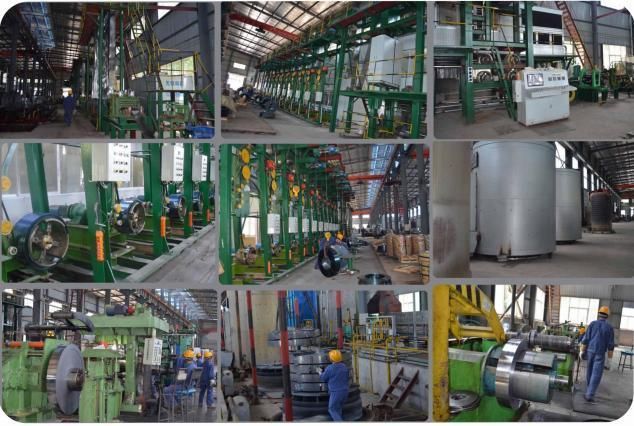 SAE 1055 Annealed Steel Strips for General Engineering