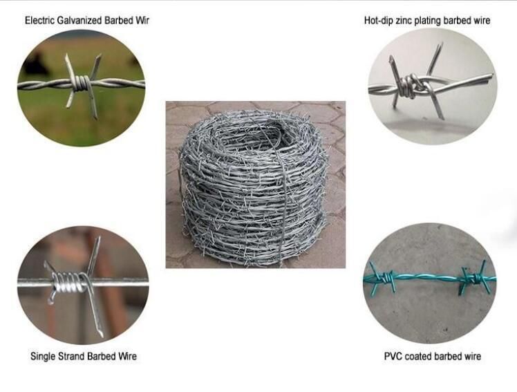 Protective Stainless Steel Barbed Wire Galvanized Steel Barbed Wire for Border/ Airport