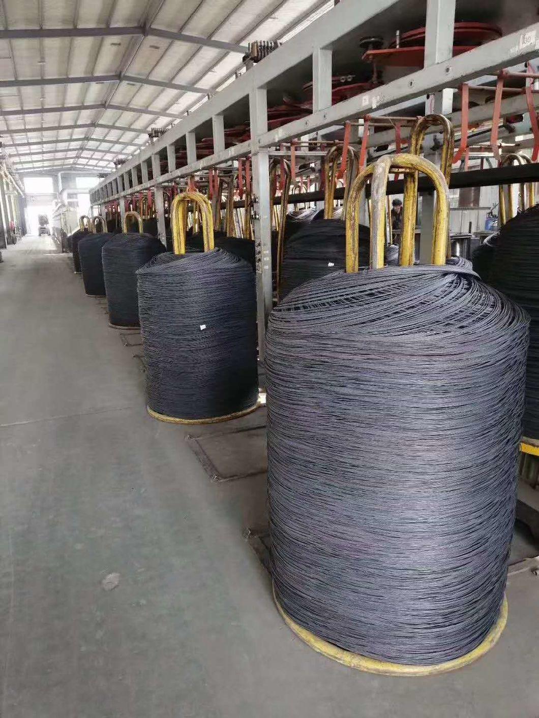 0.7-7.00 mm Hot Dipped/Cold Electro Galvanized Steel Wire Rope Manufacture