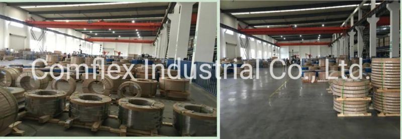 Steel Coil / Steel Strip 304 for Metal Hose