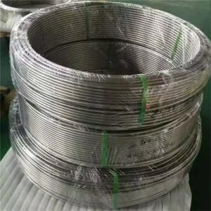 ASTM A269 A249 Seamless 316L Stainless Steel Coil Tube for Beverage Machine