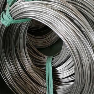 Seamless ASTM A249 316L Stainless Steel Coiled Tube with High Quality