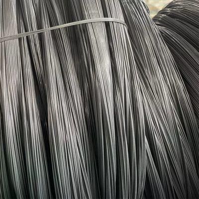Low Price High Carbon Spring Spoke Black Steel Wire