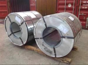 Zn Coated Steel Coils Big Flower Shandong Factory