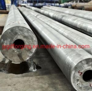 SAE1518 Cold Drawn Steel Hollow Bar/Steel Hollow Forging