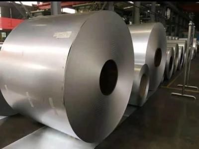 High Quality Galvanized Steel Coil for Building Materials in Hot Sale