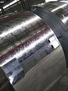 PPGI/HDG/Gi/Secc Dx51 Zinc Coated Cold Rolled/Hot Dipped Galvanized Steel Coil/Sheet/Plate/Strips