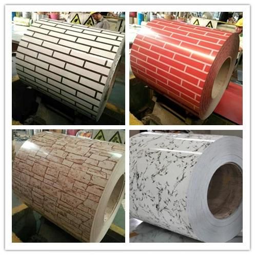 Hot Dipped Galvanized Steel Coil (GI, GL, PPGI, PPGL)