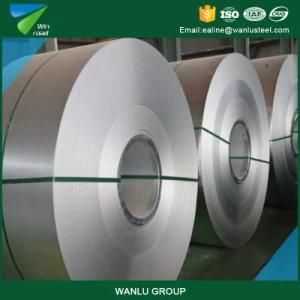 Metal Sheet, Color Coated Steel Coil Prime Hot Dipped Aluminium Coil, Zinc Coated Galvanized Steel Coil
