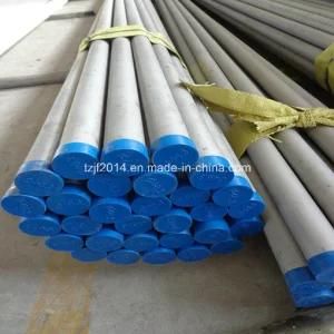 Seamless Stainless Steel Pipe in Duplex Uns S31803 &amp; S32205