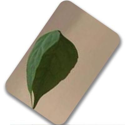 Mirror Finish Stainless Steel Sheet PVD Color Coating Stainless Steel Plates for Factory Price
