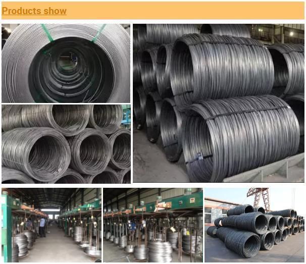 1/6SAE 1006 1008 1012 1015 10181 Steel Wire Rod